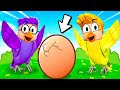 We Had A BIRD FAMILY In ROBLOX!? (ROBLOX FEATHER FAMILY ALL BIRDS UNLOCKED!)