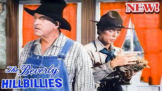 The Beverly Hillbillies 2024️ 🎯️🎯 SS10 - EP 20 ️🎯️🎯 Hot Sitcom TV Series 2024 Full Episodes