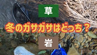 【ガサガサ】真冬のガサガサは草地を狙うか、岩場を狙うか、どっちが正解？