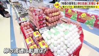 卵の流通に影響は？　鳥インフルエンザ　県内過去最多のニワトリ67万羽を処分　鹿児島（2022.11.29）