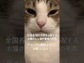 全国各地の大雪を心配するお猫さんと猫中毒者の末路