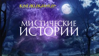 ГИБЛЫЕ МЕСТА И МЁРТВЫЕ ЗОНЫ, МИСТИЧЕСКИЕ ИСТОРИИ,  НЕОБЪЯСНИМЫЕ ЯВЛЕНИЯ, ДОКУМЕНТАЛЬНЫЙ ФИЛЬМ