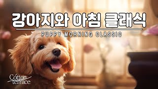 Cute and fun classical piano to listen to with your dog | cute | Dog | Morning Classic |