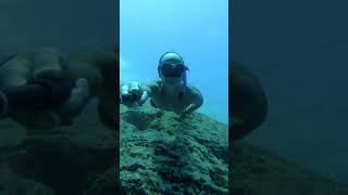 freediving 30 meters