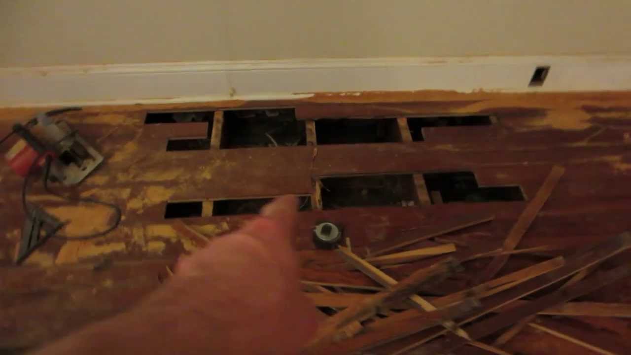 Repairing Termite Damage In Hardwood Floor | Viewfloor.co