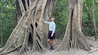 Rincon de la Vieja National Park hike, Costa Rica