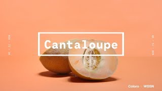 Coloro x WGSN key colors 2020: Cantaloupe