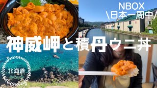 【日本一周 積丹半島】北海道 神威岬と積丹ウニ丼！小樽観光【NBOX 軽自動車】