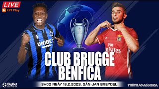 Cúp C1 Champions League | Club Brugge vs Benfica (3h00, 16/2) trực tiếp FPT Play | NHẬN ĐỊNH BÓNG ĐÁ