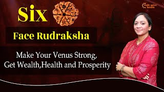 6 Mukhi Rudraksh | six Face Rudraksh Benefits | 6 Mukhi Rudraksh Ke Fayde | #rudraksha