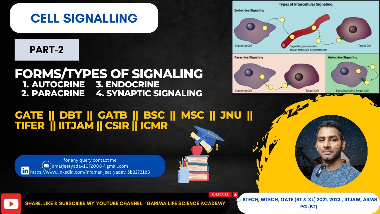 Different Forms Of Signaling Part-2 |1. Autocrine | 2. Paracrine | 3 ...