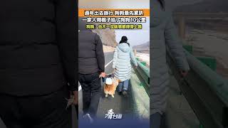 過年出去旅行，狗狗最先累趴，一家人用棍子抬了狗狗10公里。狗狗：也不一定啥事都得帶上我。