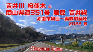 岡山県道351号線全線と周匝 吉井川 河川 桜並木  2022 春