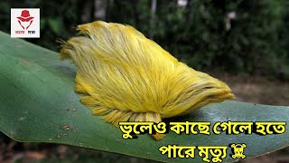 মারাত্মক বিষাক্ত কিছু প্রাণঘাতী প্রাণী || The world's most poisonous 6 animals ||