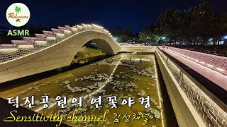 새단장된 전주 덕진공원, 연꽃과 야경, 보름달, 아름다운 음악, 아름다운 자연, 편안한 음악, 감성음악, Lotus, Night view, Feel music, Fun, 4K,