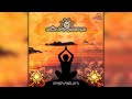 sunrazers psysun pao1dw295 geomagnetic records psytrance full album