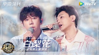 【1小时单曲循环】胡海泉\u0026黄建威《白梨花》| #有歌2024 EP11 #hitsong2024 | WeTV综艺音乐