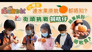 【拍住童你試】測試小朋友自理能力 大玩剝桔皮挑戰 個個話識結果係咪咁？！| 親子| 教養| 挑戰| 實測片| 自理能力|｜街頭挑戰| 親子王國