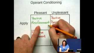 Operant Conditioning - Some Examples with Dr Z