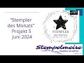 Projekt 5 Stempler des Monats Juni 2024  Stampin‘ Up! Anleitung - double stack display card -