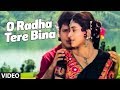 O Radha Tere Bina Full song | Radha Ka Sangam | Lata Mangeshkar, Shabbir Kumar | Juhi Chawla,Govinda