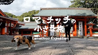 【大辺路・前編】はるか６０km❗️新宮から潮岬ー本州最南端を目指せ❗️【犬連れ野宿旅】