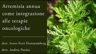 Artemisia Annua in oncologia integrata