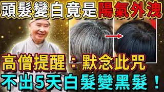 頭髮變白竟是陽氣外洩！101歲高僧提醒老年人：默念此咒，不出5天補足陽氣，白髮瞬間變黑！丨佛談大小事