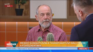 Mozaik - Kaktusz kiállítás a Füvészkertben (2022-05-25) - HÍR TV