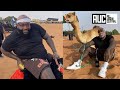 Rick Ross Tries Riding A Camel And Things Went Left Real Quick