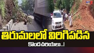 తిరుమలలో విరిగిపడిన కొండచరియలు..! Landslides Fell Down in Tirumala Ghat Road | Tirumala Rains| TV5