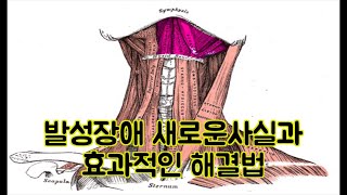 발성장애 과학적사실과 효과적인 해결법