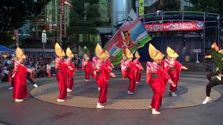 第１８回東京よさこい　　　　彪牙天翔