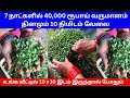 7 நாட்களில் 40,000 ரூபாய் வருமானம் தினமும் 10 நிமிடம் வேலை ​| Small Business Ideas | Tamil