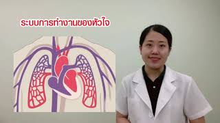 สาเหตุของโรคหัวใจ (Heart Disease)  เกิดขึ้นได้อย่างไร | EP.59 |