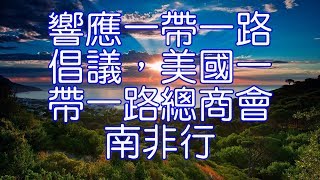 響應一帶一路倡議，美國一帶一路總商會南非行