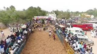 Vanniyanviduthi jallikatu