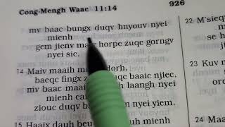 Cong-Mengh Waac 11, Longx Caux Ciouv Nyei Waac-Puix (Iu Mien Bible Proverbs 11)