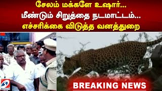 #breaking சேலம் மக்களே உஷார்! மீண்டும் சிறுத்தை நடமாட்டம்.. எச்சரிக்கை விடுத்த வனத்துறை | sathiyamtv