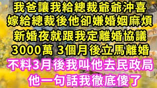 我爸讓我給總裁爺爺沖喜，嫁給總裁後他卻嫌婚姻麻煩，新婚夜就跟我定離婚協議，3000萬 3個月後立馬離婚，不料3月後我叫他去民政局，他一句話我徹底傻了#甜寵#灰姑娘#霸道總裁#愛情#婚姻#小嫻說故事