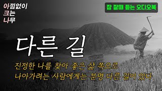 🌙잠 잘 때 듣기 좋은 힐링 에세이│박노해  '다른 길'│수면 낭독│오디오북 책읽어주는여자 │ASMR