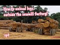 How to unload of logs outside sawmill factory! ep2