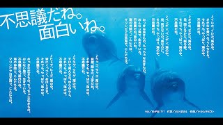 マリンピア日本海イメージソング「不思議だね。面白いね。」