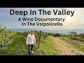 Amarone della Valpolicella