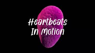 Heartbeats In Motion / Uplifting Pop #HeartbeatsInMotion #FeelTheBeat #DanceEnergy