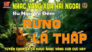 RỪNG LÁ THẤP ➤LK BOLERO DIỄN QUÂN ĐỘC LẠ HAY NHẤT 2026, Nhạc Vàng Xưa Nghe CỰC ÊM TAI