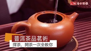 普洱茶品茗術 擇茶、開茶一次全教你