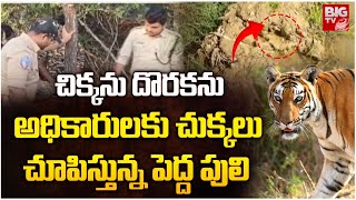 చిక్కను దొరకను | Operation Tiger in Mahabubnagar | BIG TV