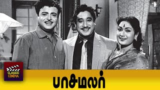 Pasamalar Full Movie | Sivaji Ganesan | Gemini Ganesan | Savitri