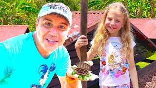 Nastya và bố Thăm vườn ca cao và tự làm sô cô la